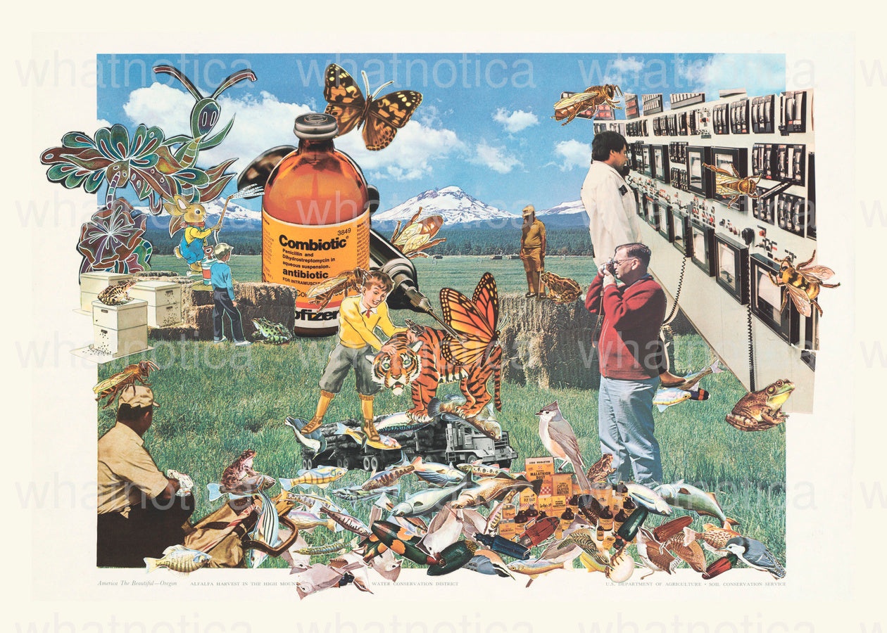 Chevron map of Oregon 1957, what we did with the information