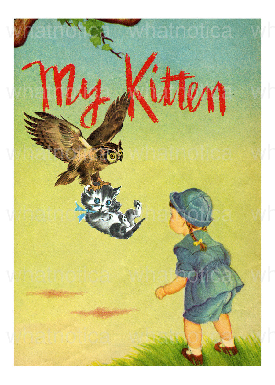my kitten