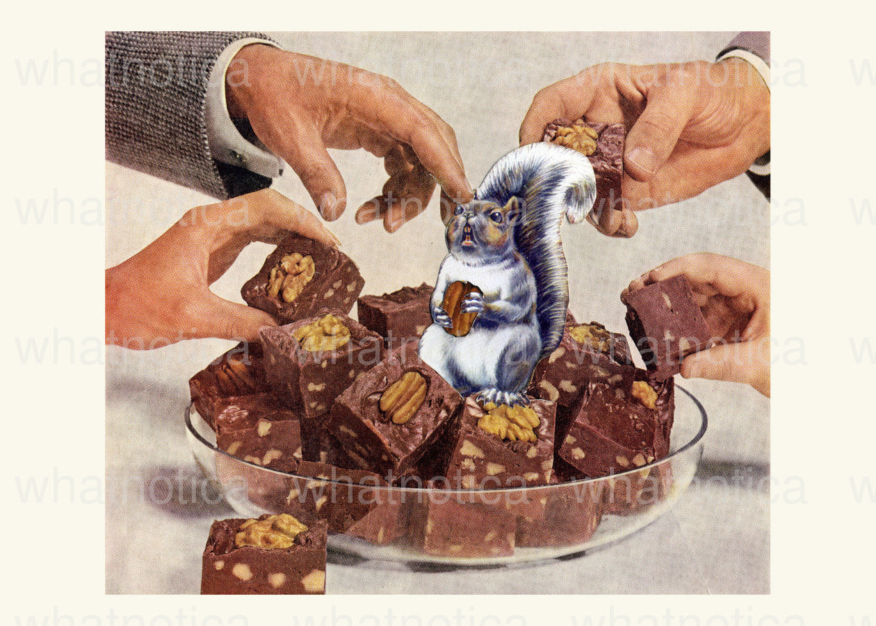 First they came for our trees